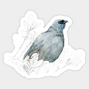 Mrs Kokako, New Zealand native bird Sticker